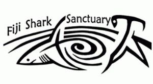 fiji-shark-sanctuary